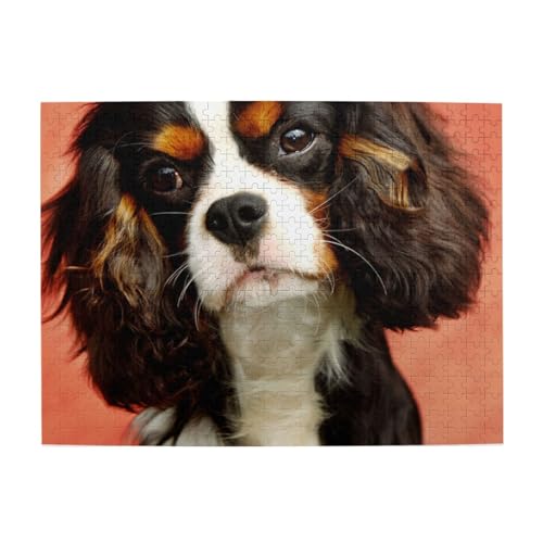 500 Teile, Puzzles für Erwachsene, anspruchsvolle Puzzles, Puzzlespiel für das Ganze,Shih Tzu Hund Lange Ohren Welpe Tier Haustier Design 500 Teile, Puzzles für Erwachsene, anspruchsvolle Puzzles, Puzzlespiel für das Ganze,Shih Tzu Hund Lange Ohren Welpe Tier Haustier Design von LfearTesa