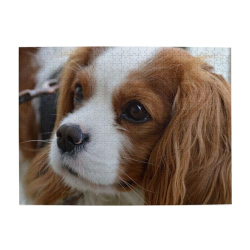 500 Teile, Puzzles für Erwachsene, anspruchsvolle Puzzles, Puzzlespiel für das Ganze,Süßer Cavalier King Charles Spaniel von LfearTesa