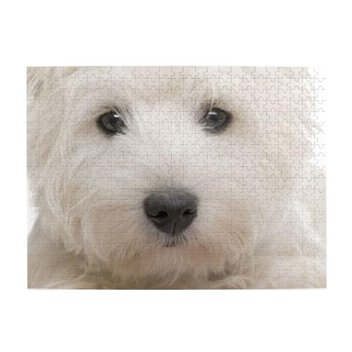 500 Teile, Puzzles für Erwachsene, anspruchsvolle Puzzles, Puzzlespiel für das Ganze,Süßer Westie-Welpe 500 Teile, Puzzles für Erwachsene, anspruchsvolle Puzzles, Puzzlespiel für das Ganze,Süßer Westie-Welpe von LfearTesa