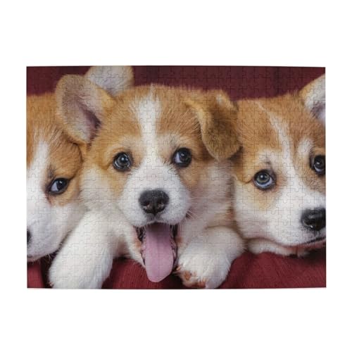 500 Teile, Puzzles für Erwachsene, anspruchsvolle Puzzles, Puzzlespiel für das Ganze,Walisischer Corgi-Hund von LfearTesa