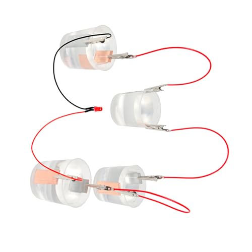 LfrXtra Salzwasser-Batterie-Sets, einfach zu bedienendes Salzwasser-Batterie-Experimentier-Set, um Kreativität und praktische Fähigkeiten zu inspirieren von LfrXtra