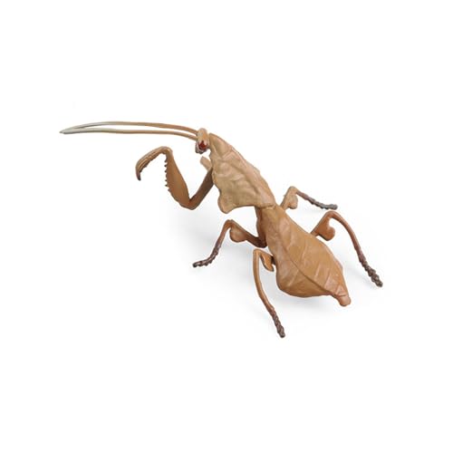 LfrXtra Simulation Insekten Kleine Spielzeugmücken Orchidsmantis Spadebeetle Simulation Tiermodell Hausgarten Ornamente von LfrXtra