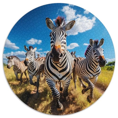 Afrikanisches Zebra-Puzzle 1000 Teile für Erwachsene, rundes Puzzle 1000 Teile für Erwachsene, Denksportaufgabe, Spiel für Erwachsene, interaktive Familienaktivität, 67,5 x 67,5 cm Afrikanisches Zebra-Puzzle 1000 Teile für Erwachsene, rundes Puzzle 1000 Teile für Erwachsene, Denksportaufgabe, Spiel für Erwachsene, interaktive Familienaktivität, 67,5 x 67,5 cm von LiJianXXE