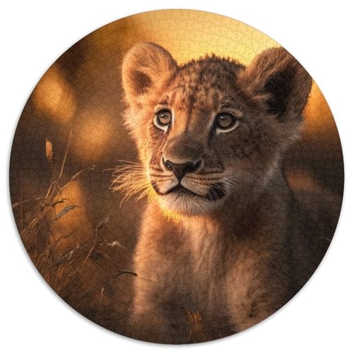 1000-teiliges Puzzle Löwenjunges für Erwachsene, anspruchsvolles Denkspiel für Teenager, Spaß für den Familienspieleabend, 67,5 x 67,5 cm 1000-teiliges Puzzle Löwenjunges für Erwachsene, anspruchsvolles Denkspiel für Teenager, Spaß für den Familienspieleabend, 67,5 x 67,5 cm von LiJianXXL