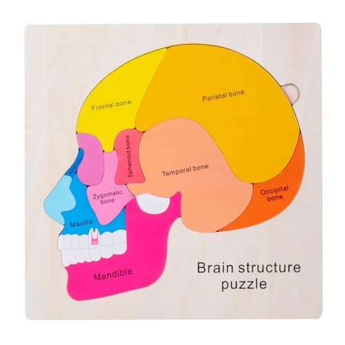 Liakyunf Anatomie -Puzzle, menschlicher Körper für Kinder | Anatomie-Puzzle für Kinder 3-5 - Bildung Interaktives detailliertes Spiel Set Toys for STEM Education Science Science Fair Lab Studie von Liakyunf