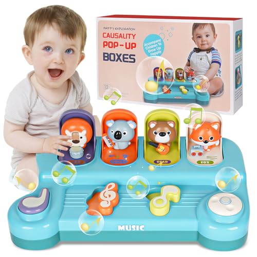 Libershine Pop up Baby Spielzeug ab 12 Monate, Kleinkinder Montessori-Spielzeug für 1 Jahr Kinder, Motorikspielzeug Lernspielzeug Jungen Mädchen Geschenke von Libershine