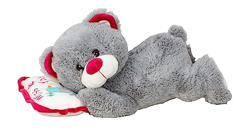 Lifestyle & More Teddybär Kuschelbär Schlafbär grau liegend auf Kissen 44 cm lang Plüschbär Kuscheltier samtig weich von Lifestyle & More
