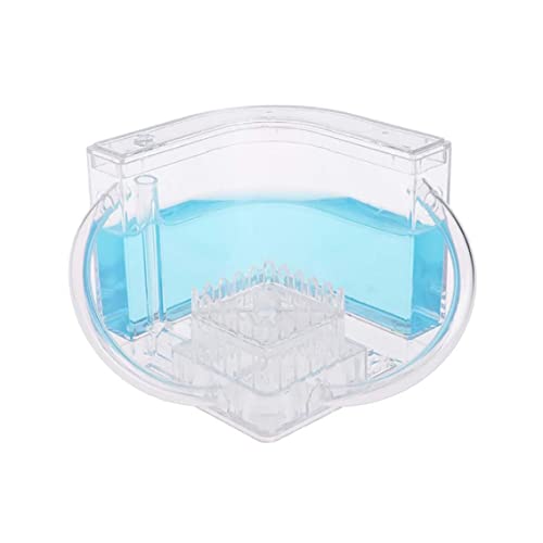 Ant Farm Ant Works Farm Castle transparentes Plastikhaus für Kinder Bildungsspielzeug (blau) von Ligeinsrk