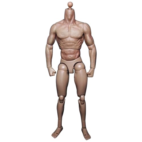 Ligeinsrk 1/12 Skala Abbildung 10 Zoll männlicher Aktion Figur Körper Flexible männliche Figur Körperpuppe Kunststoff Muskelminiaturfigur ohne Kopfskulptur 1/12 Skala -Figur Ligeinsrk 1/12 Skala Abbildung 10 Zoll männlicher Aktion Figur Körper Flexible männliche Figur Körperpuppe Kunststoff Muskelminiaturfigur ohne Kopfskulptur 1/12 Skala -Figur von Ligeinsrk