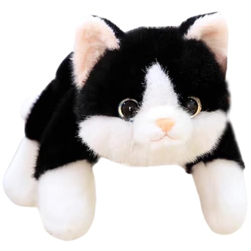 Ligeinsrk Gewichtete Plüsch niedliche gewichtete Katze Stofftiere PP Baumwolle gefüllt Katze Plüsch, 11, 8 Zoll weiches Kätzchen Kissen Geschenke für Kinder Erwachsene Weihnachten, schwarzes Kissen Ligeinsrk Gewichtete Plüsch niedliche gewichtete Katze Stofftiere PP Baumwolle gefüllt Katze Plüsch, 11, 8 Zoll weiches Kätzchen Kissen Geschenke für Kinder Erwachsene Weihnachten, schwarzes Kissen von Ligeinsrk