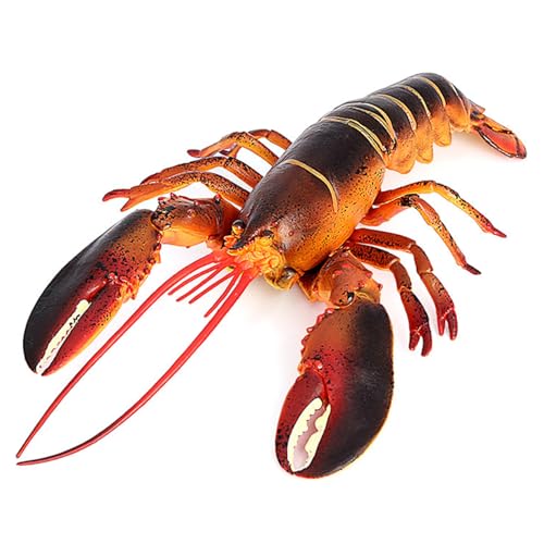 Ligeinsrk Hummerspielzeug 13x4, 5 Zoll künstlicher und lebensechter Plastik Lobster Statue Educational & Lernspielzeug, Geschenke für Kinder, Spielzeug Ligeinsrk Hummerspielzeug 13x4, 5 Zoll künstlicher und lebensechter Plastik Lobster Statue Educational & Lernspielzeug, Geschenke für Kinder, Spielzeug von Ligeinsrk
