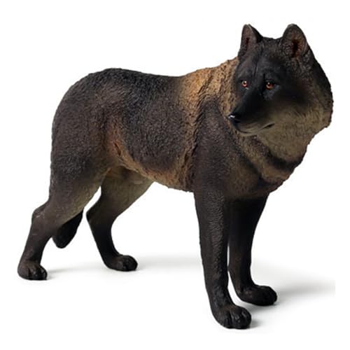 Ligeinsrk Wolf Figur High Simulation Wildlife Animal Model Wolf Spielzeug Sammlung Figur Ornament pädagogische Lernspielzeug Geburtstag für Jungen Mädchen, Schwarz, Spielzeug von Ligeinsrk