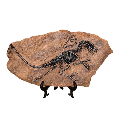 Limtula Harze Dinosaurier Fossilien Statue Modell Simuliertes Dinosaurier Skeletton Home Office Desktop Display Dekorative Ornament von Limtula
