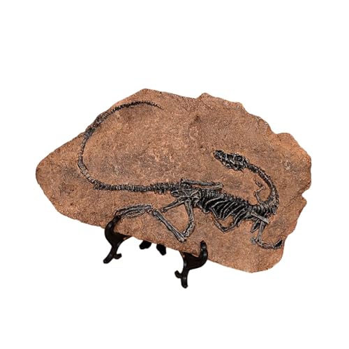 Limtula Harze Dinosaurier Fossilien Statue Modell Simuliertes Dinosaurier Skeletton Home Office Desktop Display Dekorative Ornament von Limtula