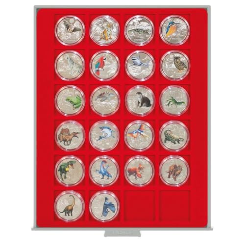 LINDNER Das Original Münzbox Standard mit 24 quadratischen Fächern für Münzen/Münzkapseln bis Ø42 mm LINDNER Das Original Münzbox Standard mit 24 quadratischen Fächern für Münzen/Münzkapseln bis Ø42 mm von LINDNER Das Original