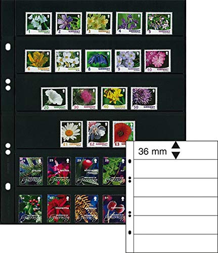 Lindner Multi Collect-Einsteckblätter, Glasklar/Schwarz oder Zwischenblätter 1, 5, 10 STK. zur Auswahl (Schwarz, 6. 36 mm/ 6 Streifen - per 5Stk.) von Lindner