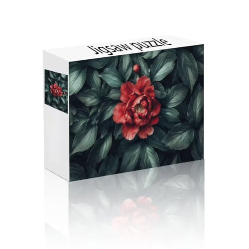 Puzzle Erwachsene 1000 Teile Blume, Blätter Puzzle Lernspiel Herausforderung Schwierigkeit, Vielfältig Bunt Puzzlespiele, Freizeitaktivität Lustige Geschenke Wohndeko für Erwachsene ab 14 Jahren U-9 Puzzle Erwachsene 1000 Teile Blume, Blätter Puzzle Lernspiel Herausforderung Schwierigkeit, Vielfältig Bunt Puzzlespiele, Freizeitaktivität Lustige Geschenke Wohndeko für Erwachsene ab 14 Jahren U-9 von Linncen