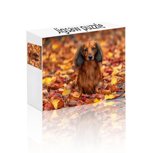 Puzzle Erwachsene 1000 Teile Dackel, Blätter Puzzle Lernspiel Herausforderung Schwierigkeit, Vielfältig Bunt Puzzlespiele, Freizeitaktivität Lustige Geschenke Wohndeko für Erwachsene ab 14 Jahren J-1 von Linncen