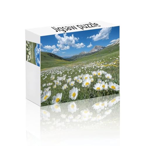 Puzzle Erwachsene 1000 Teile Landschaft, Gänseblümchen Puzzle Lernspiel Herausforderung Schwierigkeit, Vielfältig Bunt Puzzlespiele, Freizeitaktivität Lustige Geschenke für Erwachsene ab 14 Jahren T-1 von Linncen