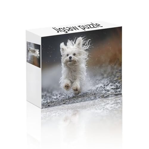 Puzzle Erwachsene 1500 Teile Hund, Niedlich Puzzle Lernspiel Herausforderung Schwierigkeit, Vielfältig Bunt Puzzlespiele, Freizeitaktivität Lustige Geschenke Wohndeko für Erwachsene ab 14 Jahren H-7 von Linncen