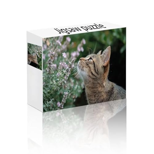Puzzle Erwachsene 2000 Teile Katze, Niedlich Puzzle Lernspiel Herausforderung Schwierigkeit, Vielfältig Bunt Puzzlespiele, Freizeitaktivität Lustige Geschenke Wohndeko für Erwachsene ab 14 Jahren F-5 von Linncen