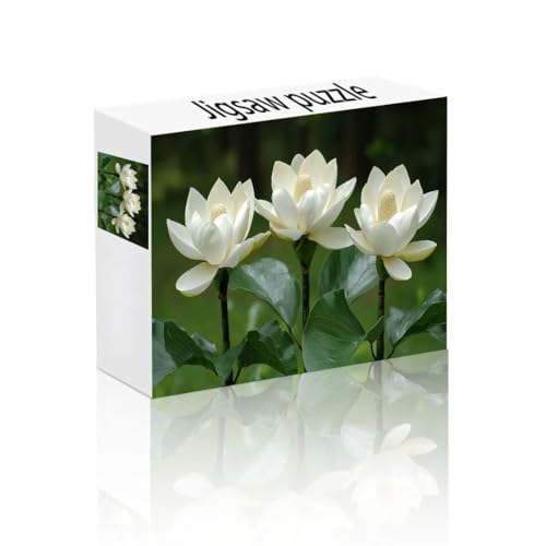 Puzzle Erwachsene 300 Teile Lotus, Blätter Puzzle Lernspiel Herausforderung Schwierigkeit, Vielfältig Bunt Puzzlespiele, Freizeitaktivität Lustige Geschenke Wohndeko für Erwachsene ab 14 Jahren U-9 von Linncen