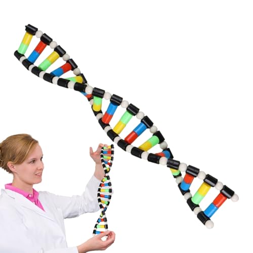 Biologie Klassenzimmer Dekorationen Assembly Assembly Doppelportale | Pädagogische Hilfe, Biologieklassendekoration, wissenschaftliches Spielzeug im Vorschulalter von Liqzirtu