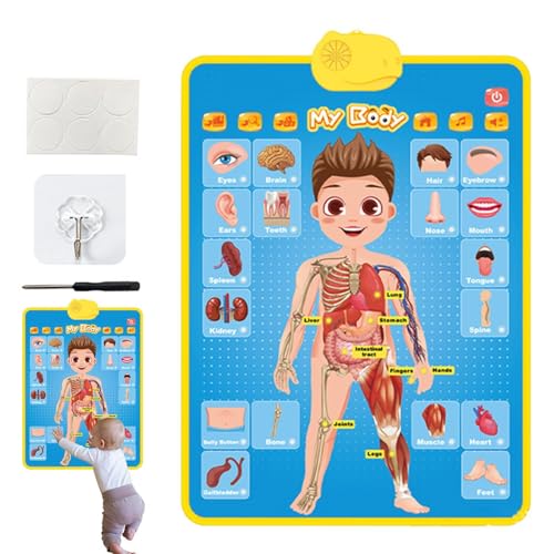 Elektronisches Alphabet – Wandtisch, Alphabet Learning Board, Poster für Musik, Lernspielzeug | Lernposter für Kleinkinder im Alter von 3 4 5 Jahren und von Liqzirtu