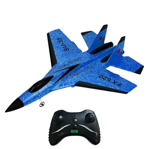 Ferngesteuertes Flugzeug – Ferngesteuertes Kampfflugzeug, RC-Kampfjet | 2,4-GHz-Fernsteuerungsflugzeug-Spielzeug, ferngesteuerter Kampfjet für Kinder, ferngesteuerter Kampfjet für Erwachsene und Junge von Liqzirtu