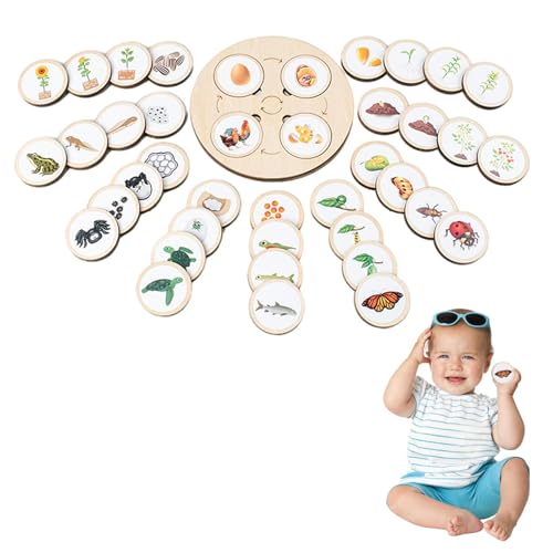 Lebenszyklus -Puzzle -Kit - Puzzle -Lebens -Kit für Tiere, Pflanzen und Insekten, Spielzeug für die Entwicklung von Kinderrätseln | Frühes Bildungsspielzeug für Kinder im Vorschulalter 2 ~ 6 Jahre von Liqzirtu