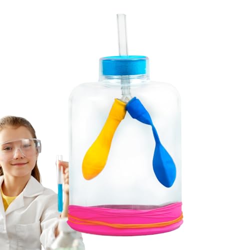 Lungenmodell | Zerlegbares Atemmodell mit Atemmechanismus - Lehrmittel für wissenschaftliche Experimente und Lernaktivitäten von Liqzirtu