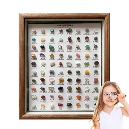 Mineralien-Set – Sammlung von 80 natürlichen Mineralien, Klassisches Bestimmungsset mit Holzrahmen, Mineralien-Bestimmungsset – Steinschmuck für Feiertage und Geburtstage von Liqzirtu