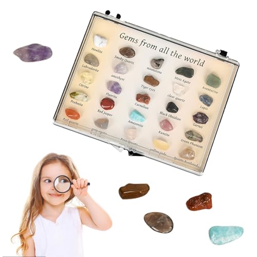 Roca Collection – Sammelbox für natürliche Kristalle, Edelsteine für | Lehrmaterial zum Sammeln von Edelsteinen Roca Collection – Sammelbox für natürliche Kristalle, Edelsteine für | Lehrmaterial zum Sammeln von Edelsteinen von Liqzirtu