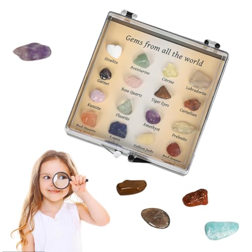 Rocks and Minerals for Children – Lernspiel auf Felsen und natürlichen Mineralien | Edelsteine für die Erziehung, Edelstein-Spielzeug, pädagogische Kollektion, Material für Rocks and Minerals for Children – Lernspiel auf Felsen und natürlichen Mineralien | Edelsteine für die Erziehung, Edelstein-Spielzeug, pädagogische Kollektion, Material für von Liqzirtu