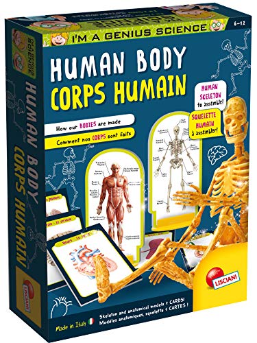 Lisciani I'm A Genius Human Anatomy Learning Kit with Illustrated Cards and Plastic Skeleton -EX48960 von Liscianigiochi