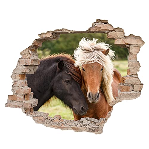 Little Deco 3D Wandsticker Wandaufkleber Wandtattoo Kinderzimmer Mädchen Pferd Wanddeko Spielzimmer Wandbild Poster Tapete Schlafzimmer Kleinkind Horse DL639-9 Little Deco 3D Wandsticker Wandaufkleber Wandtattoo Kinderzimmer Mädchen Pferd Wanddeko Spielzimmer Wandbild Poster Tapete Schlafzimmer Kleinkind Horse DL639-9 von Little Deco