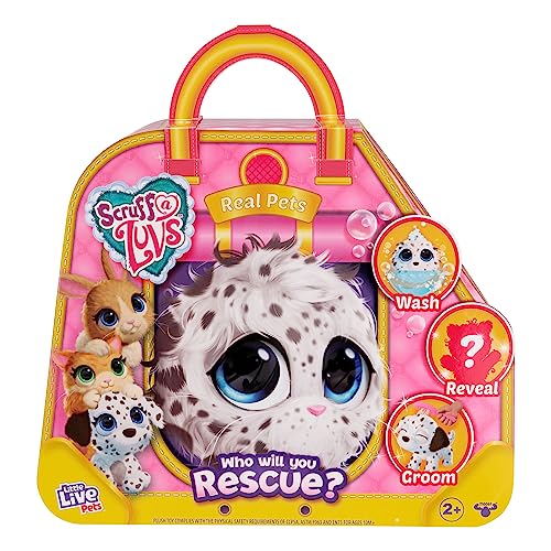 Little Live Pets Scruff‑a‑Luvs-Überraschungskuscheltier zum waschen, trocknen und stylen; Hase, Welpe oder Kätzchen (Sortiert) von Little Live Pets