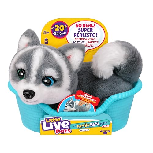 Little Live Pets My Really Real Puppy Minis – Aurora der Husky, interaktiver Puppy mit 20+ Geräuschen und Reaktionen, inklusive Korb zum Präsentieren, niedliches Geschenk für Kinder (11 cm groß) von Little Live Pets