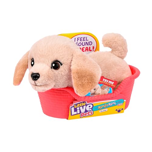 Little Live Pets My Really Real Puppy Minis – Buddy der Labrador, interaktiver Puppy mit 20+ Geräuschen und Reaktionen, inklusive Korb zum Präsentieren, niedliches Geschenk für Kinder (11 cm groß) von Little Live Pets
