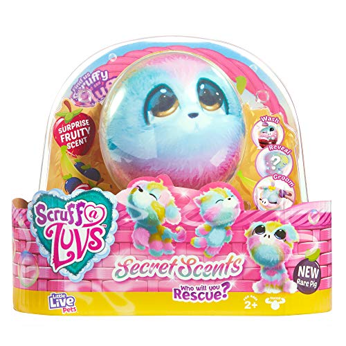 Scruff-a-Luvs Little Live 30059 Duftüberraschung Reveal Regenbogen Plüsch Kuscheltier Katze, Hund oder seltenes Schwein von Little Live Pets