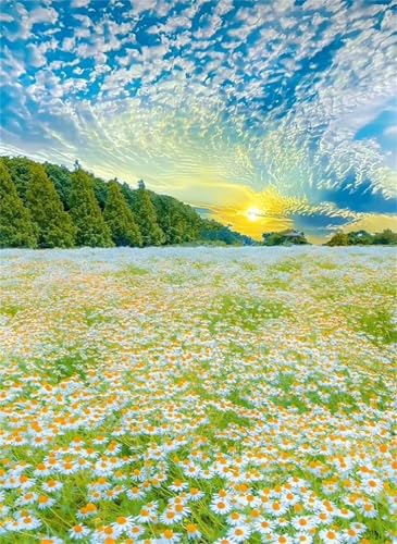 Puzzle 1000 Teile EIN Herausforderndes Rätsel Pädagogisches Spielzeug Geschenke Klassische Landschaft Daisy Field Puzzles Für Erwachsene,Jigsaw Puzzle für Die Ganze Familie 75x50 cm Puzzle 1000 Teile EIN Herausforderndes Rätsel Pädagogisches Spielzeug Geschenke Klassische Landschaft Daisy Field Puzzles Für Erwachsene,Jigsaw Puzzle für Die Ganze Familie 75x50 cm von Lituor