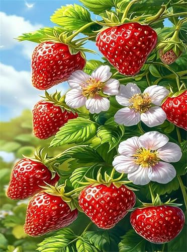 Puzzle 2000 Teile EIN Herausforderndes Rätsel Pädagogisches Spielzeug Geschenke Klassische Erdbeerpflanze Puzzles Für Erwachsene,Jigsaw Puzzle für Die Ganze Familie 100x70 cm Puzzle 2000 Teile EIN Herausforderndes Rätsel Pädagogisches Spielzeug Geschenke Klassische Erdbeerpflanze Puzzles Für Erwachsene,Jigsaw Puzzle für Die Ganze Familie 100x70 cm von Lituor