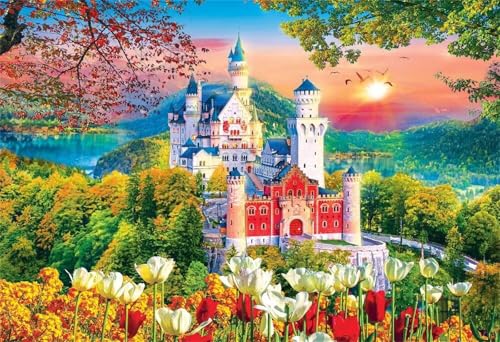 Puzzle 500 Teile EIN Herausforderndes Rätsel Pädagogisches Spielzeug Geschenke Klassische Burglandschaft Puzzles Für Erwachsene,Jigsaw Puzzle für Die Ganze Familie 52x38 cm von Lituor