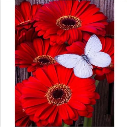 Puzzle 500 Teile EIN Herausforderndes Rätsel Pädagogisches Spielzeug Geschenke Klassische Roter Blumenschmetterling Puzzles Für Erwachsene,Jigsaw Puzzle für Die Ganze Familie 52x38 cm Puzzle 500 Teile EIN Herausforderndes Rätsel Pädagogisches Spielzeug Geschenke Klassische Roter Blumenschmetterling Puzzles Für Erwachsene,Jigsaw Puzzle für Die Ganze Familie 52x38 cm von Lituor