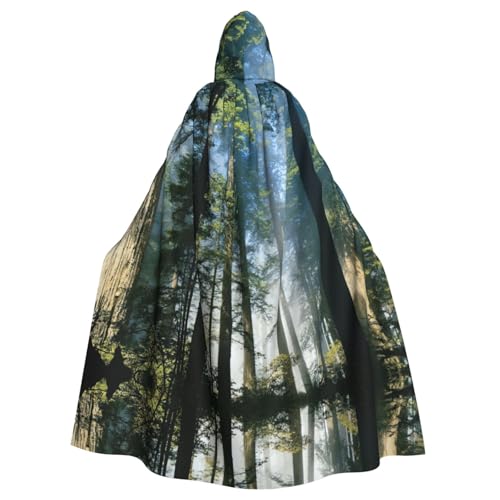 Liulannq National Parks Sunshine Trees Halloween Unisex Kapuzenumhang Weihnachten Maskerade Kostüm Erwachsene Vampir Hexe Kostüm Exquisites Zubehör Liulannq National Parks Sunshine Trees Halloween Unisex Kapuzenumhang Weihnachten Maskerade Kostüm Erwachsene Vampir Hexe Kostüm Exquisites Zubehör von Liulannq