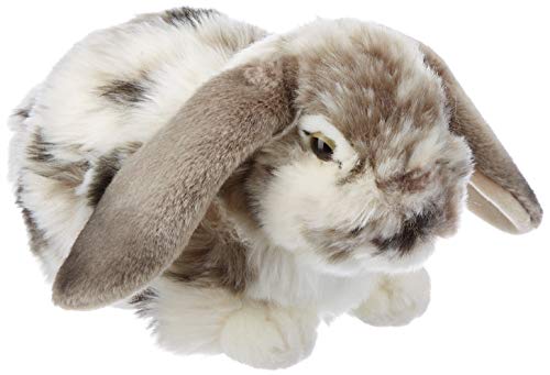 Living Nature AN316 Soft Toy Dutch Lop Ohr-Kaninchen, Grau und Beige, Sortierte Farbe von Living Nature