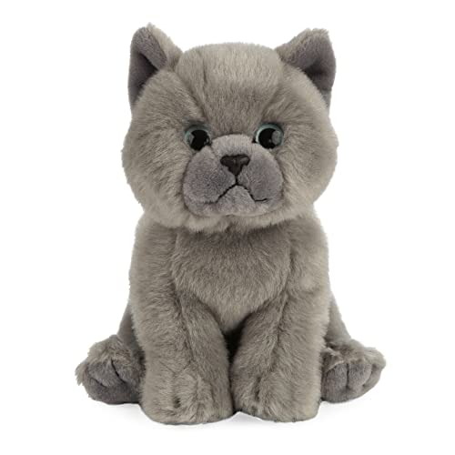 Living Nature AN447 Soft Toy - Stofftier Britische Kurzhaar Babykatze von Living Nature