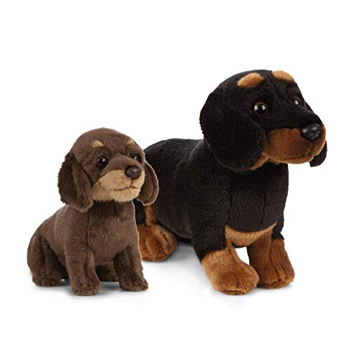 Living Nature AN484 Dachshund (Sausage Dog) Mother & Puppy Gift Bundle Plüschspielzeug für Hunde und Welpen, Spaniels, schwarz/braun Living Nature AN484 Dachshund (Sausage Dog) Mother & Puppy Gift Bundle Plüschspielzeug für Hunde und Welpen, Spaniels, schwarz/braun von Living Nature