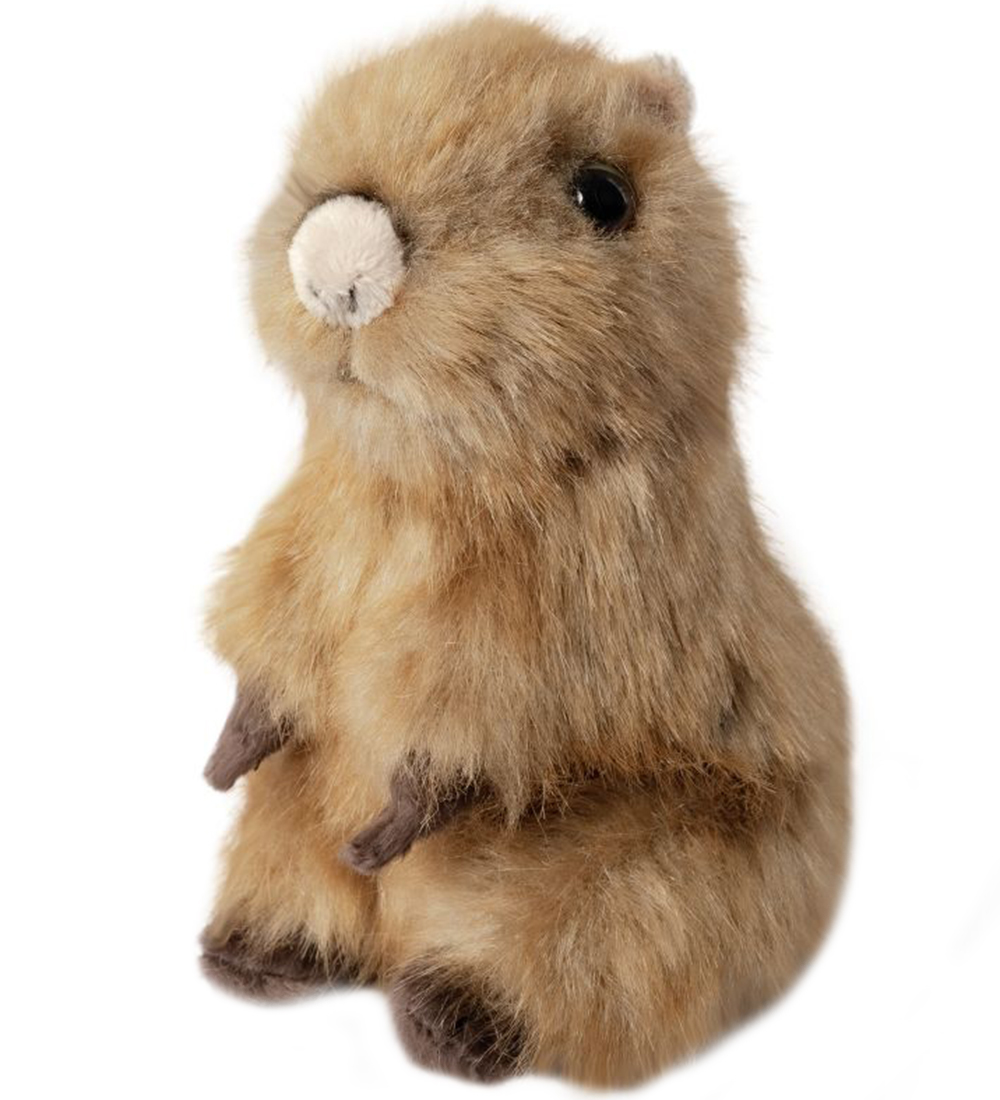 Living Nature Kuscheltier - 14x7 cm - Baby Kapivar - Braun - Living Nature - One Size - Kuscheltiere Living Nature Kuscheltier - 14x7 cm - Baby Kapivar - Braun - Living Nature - One Size - Kuscheltiere von Living Nature