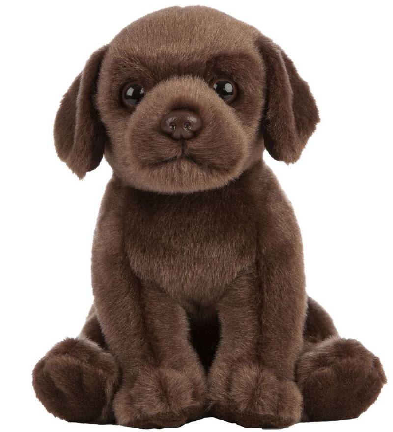 Living Nature Kuscheltier - 16x8 cm - Labrador-Welpe - Braun - Living Nature - One Size - Kuscheltiere Living Nature Kuscheltier - 16x8 cm - Labrador-Welpe - Braun - Living Nature - One Size - Kuscheltiere von Living Nature